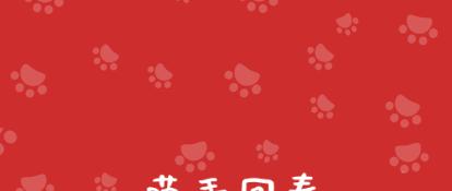 猫咪睁着眼怎么还打鼾,猫咪睁着眼睡觉是什么意思