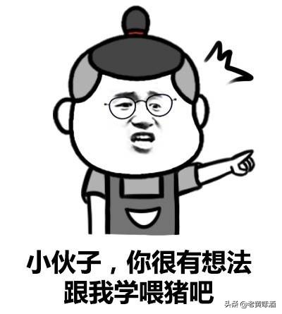 山西汾酒是国酒吗,山西汾酒属于名酒