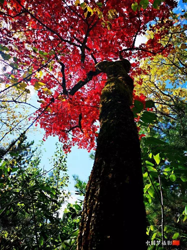 黑龙江旅游小众胜地,黑龙江值得旅游的10个地方