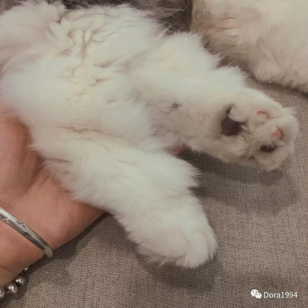 深圳适合放松的咖啡厅,深圳适合一个人打卡拍照的咖啡厅