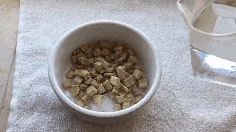 关注这6点让猫咪远离肾脏疾病,猫咪多喝水避免的疾病有哪些