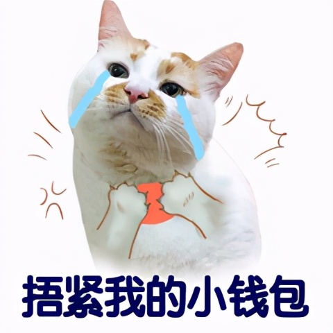 国家出品宝藏网站,100个宝藏网站推荐