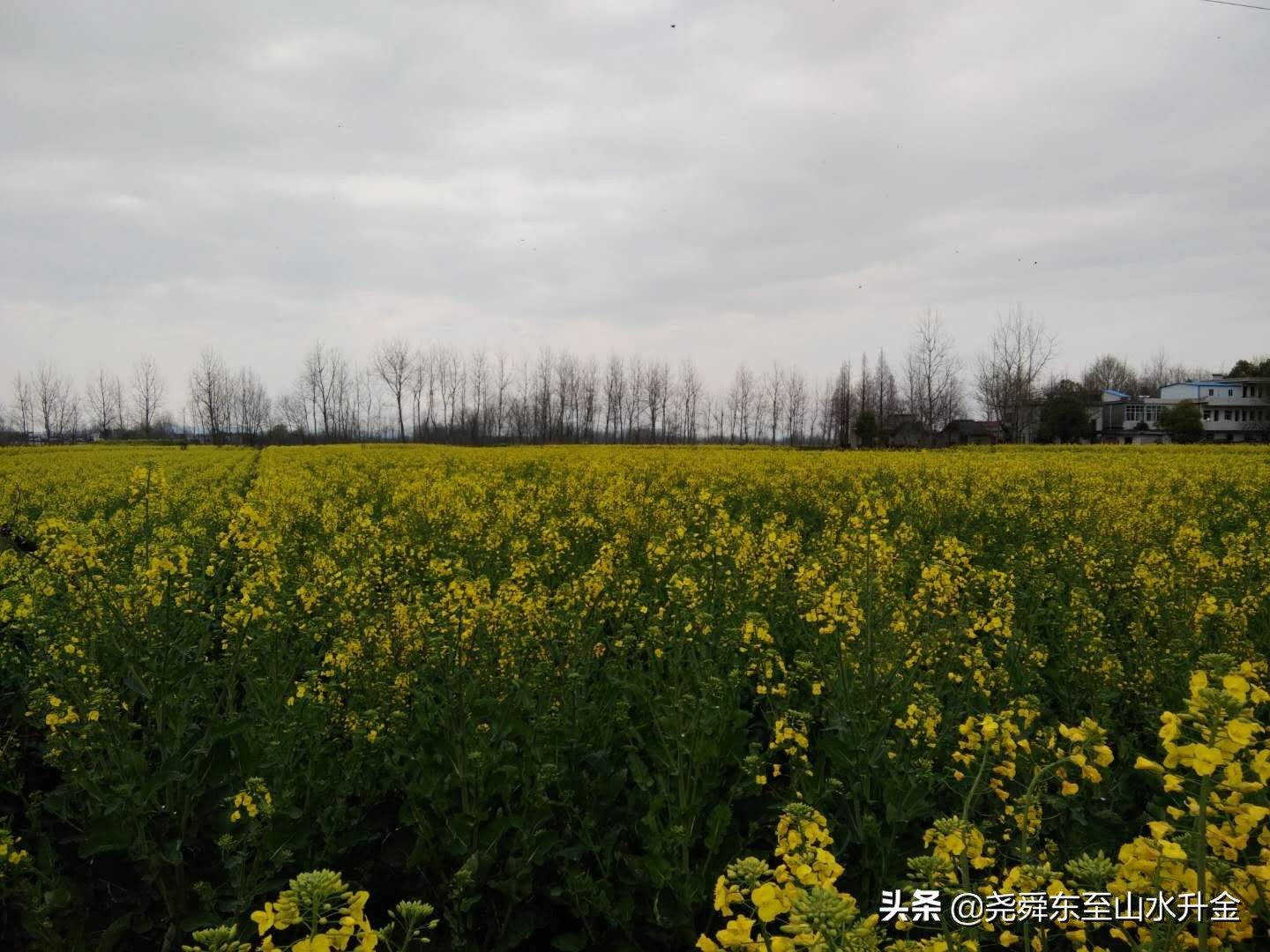 张溪镇是哪里,张溪镇有几个乡村