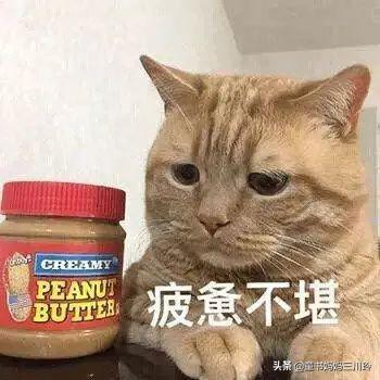 微笑围观美国网课：放过彼此，欢乐玩去吧，学习什么的都是浮云