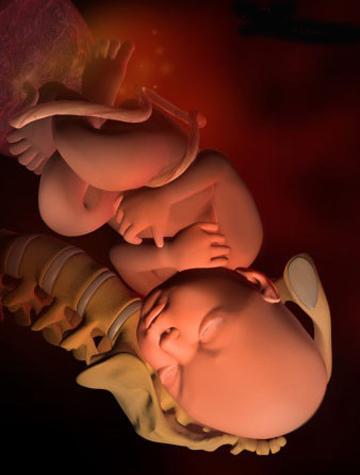 胎儿34-40周能长多少斤,怀孕38周十天里胎儿能长多少斤