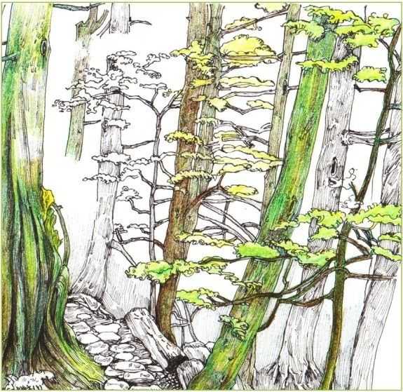 彩铅入门基础教程风景画,彩铅风景画教程简单入门