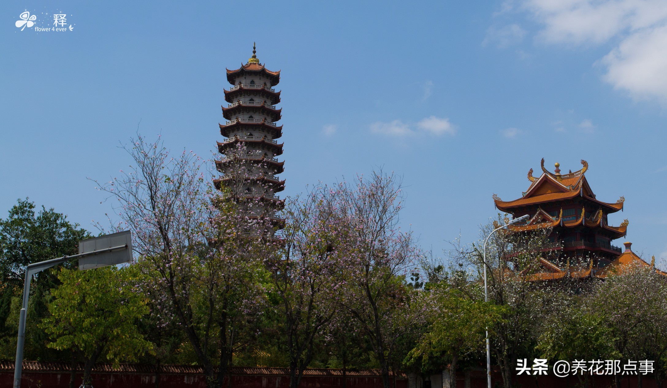 福州自由行2-3天攻略,福州冬季自由行攻略