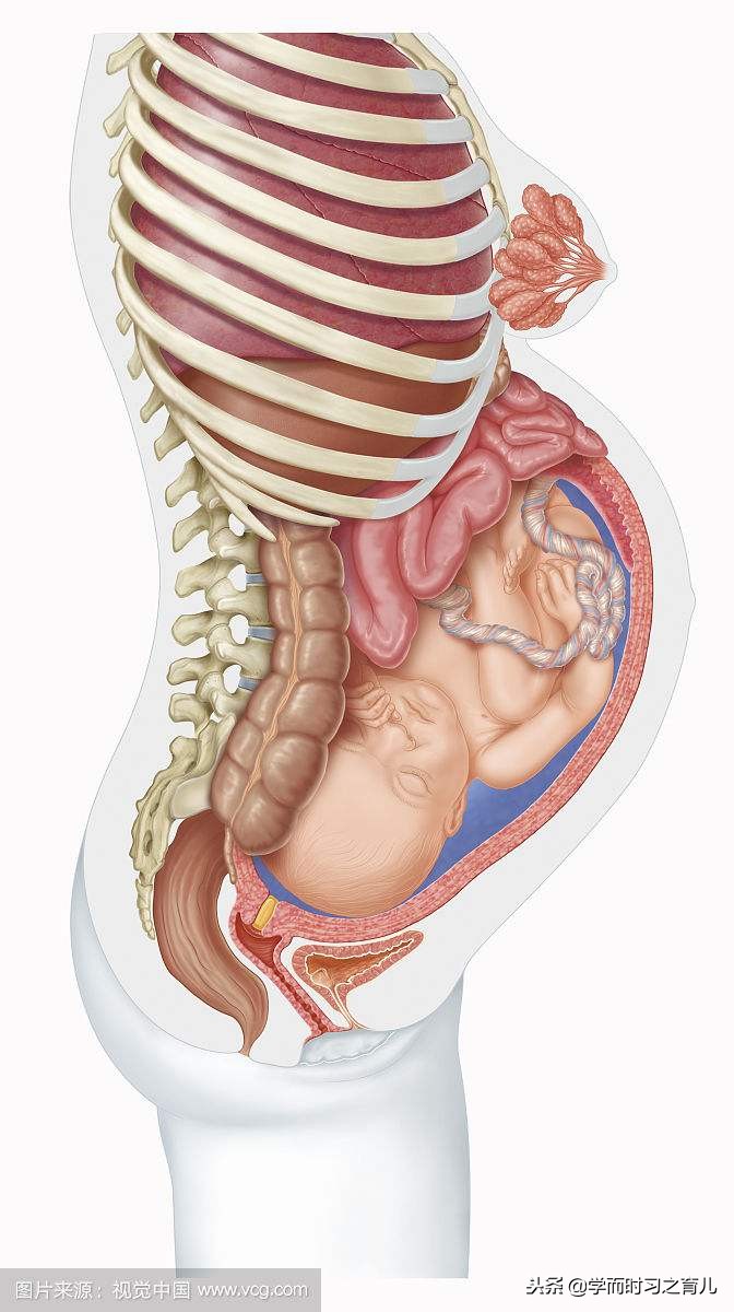 孕期尿频的原因及解决方法,孕期尿频怎么办有什么好方法