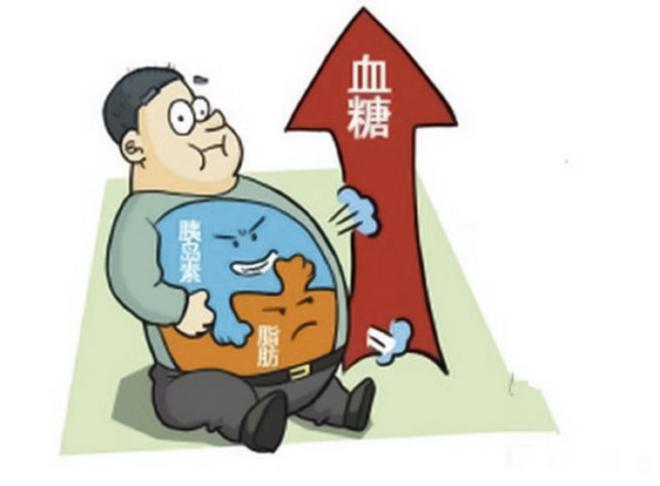 减肥成功不反弹多久变成易瘦体质,减肥坚持一段就成易瘦体质