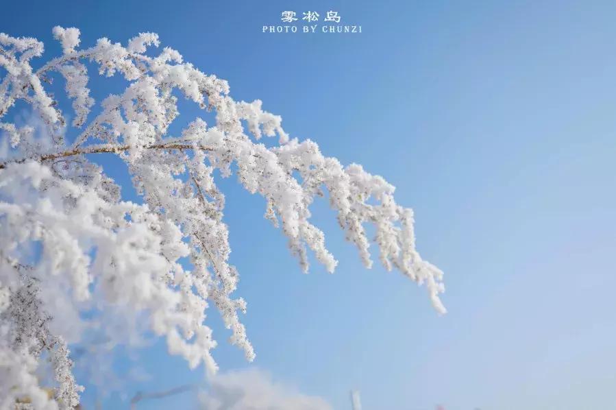 高效摄影,摄影慢动作