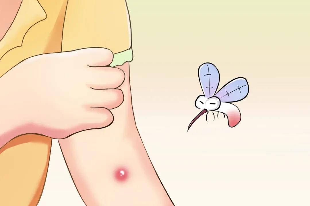 如何解决房间的蚊虫,老人的房间怎样防蚊