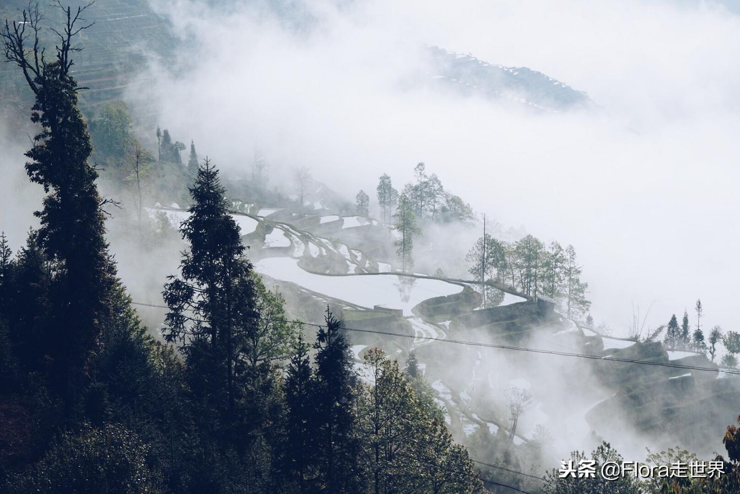 我们的侣行还在拍吗,我们的侣行2019破冰之旅