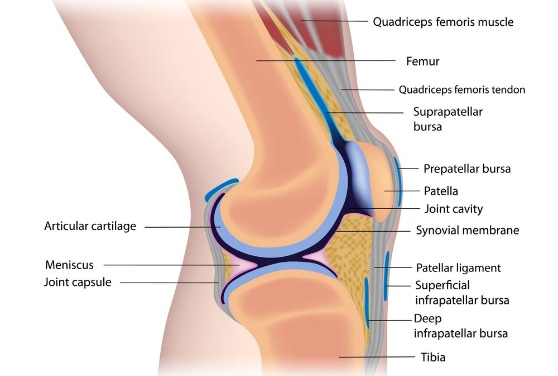 预防骨性关节炎,怎么预防骨性关节炎
