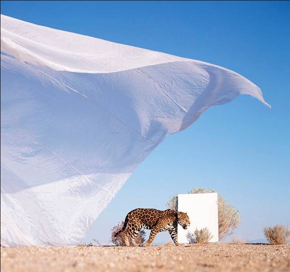 摄影的真谛在于发现美而不是造假,摄影的本质