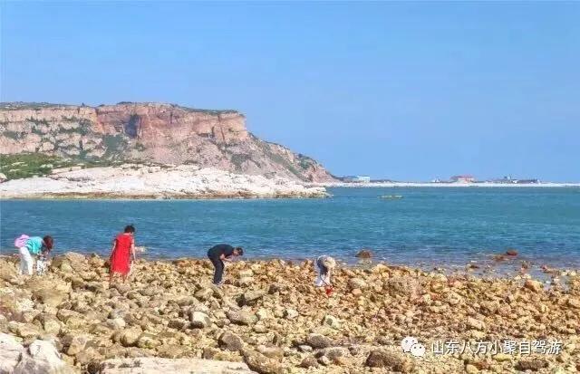 潍坊自驾游攻略美食,潍坊海边一日游自驾游