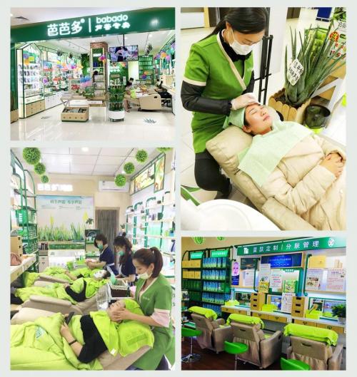 是不是所有的芦荟品种都没有毒,是不是所有的芦荟都会长小芦荟