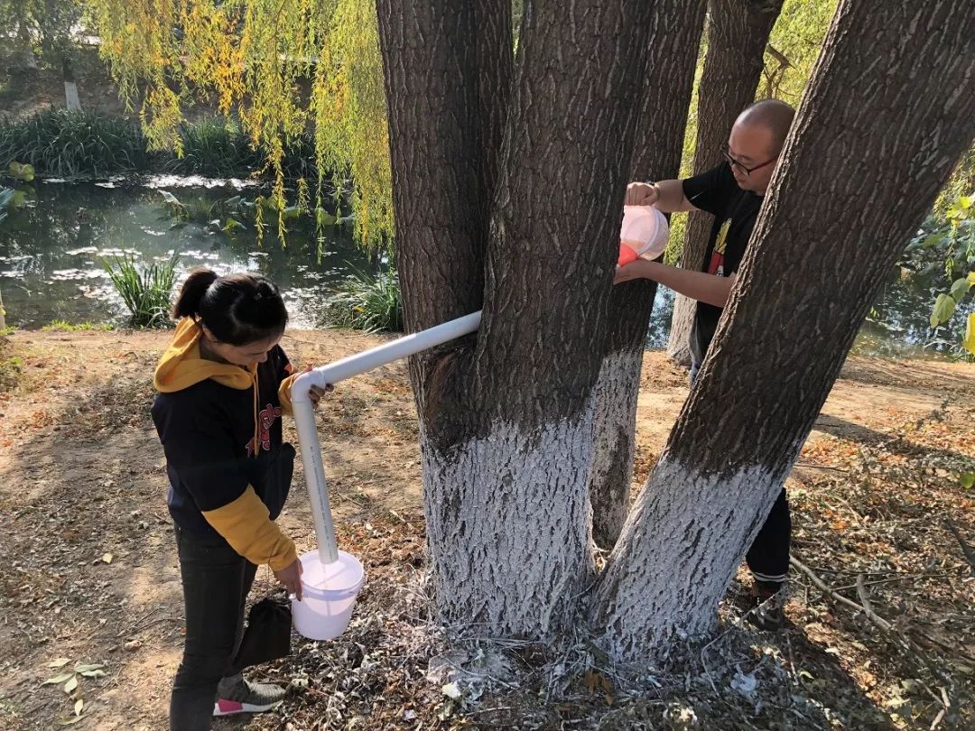 错过第二期北纬45°自然教育国际工作坊不要紧，满满的干货在这里