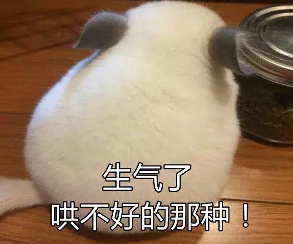 怎么决定胎宝宝的性别,决定宝宝性别的民间方法