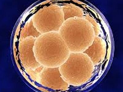 47了吃紧急避孕药能行吗,两年前吃避孕药对怀孕有影响吗