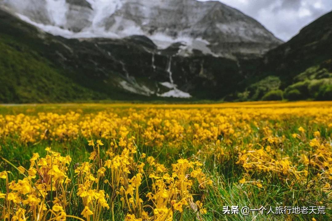 天问一号登陆火星的全过程讲解,天问一号环绕火星之旅感悟