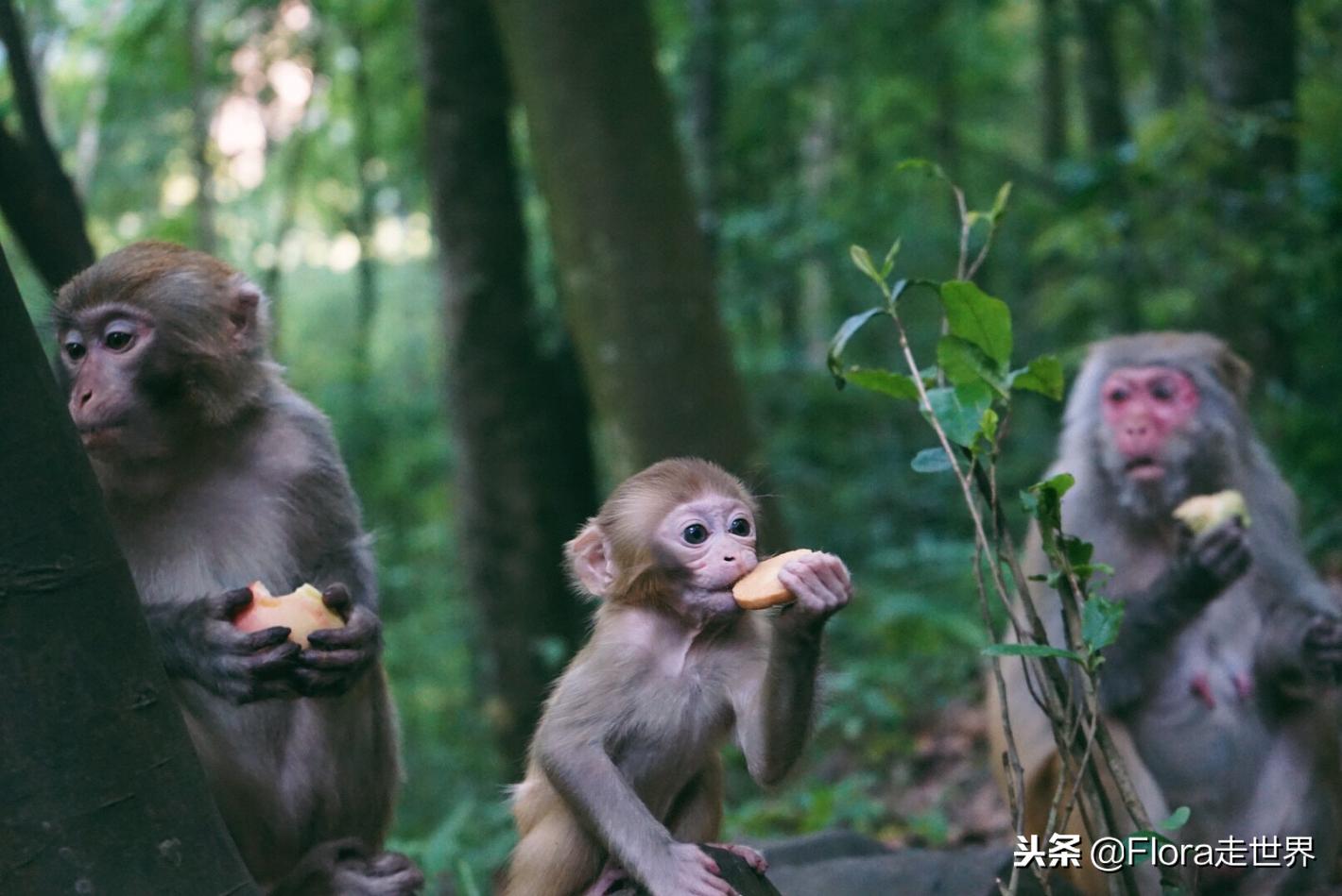 我们的侣行还在拍吗,我们的侣行2019破冰之旅