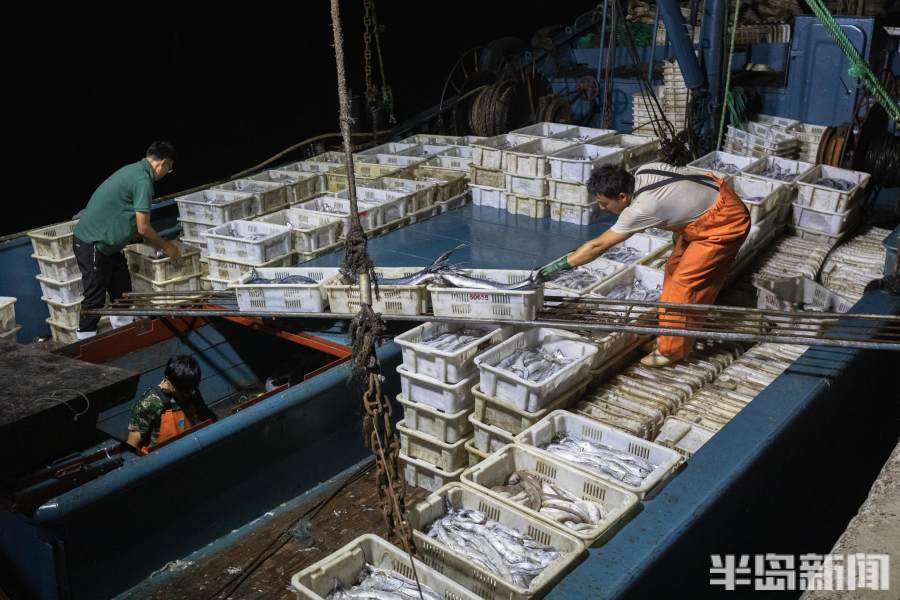 一线视察直击现场,一线记者直击