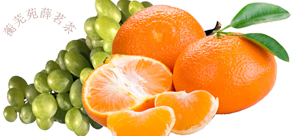 车祸营养费多少钱一天,车祸营养费标准多少