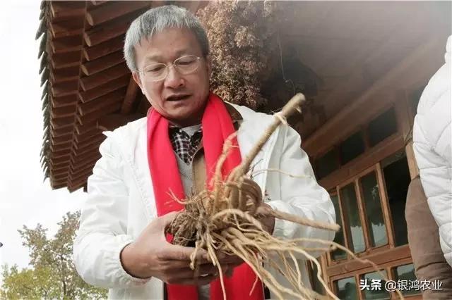 黄海波广西中医药,黄海波中医好吗