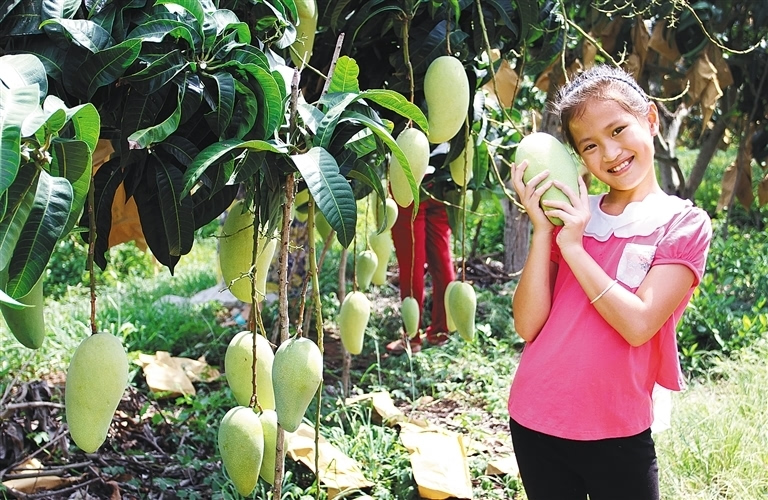 芒果荔枝背后的中越双边关系，曾经“国民待遇”，如今寂无声息