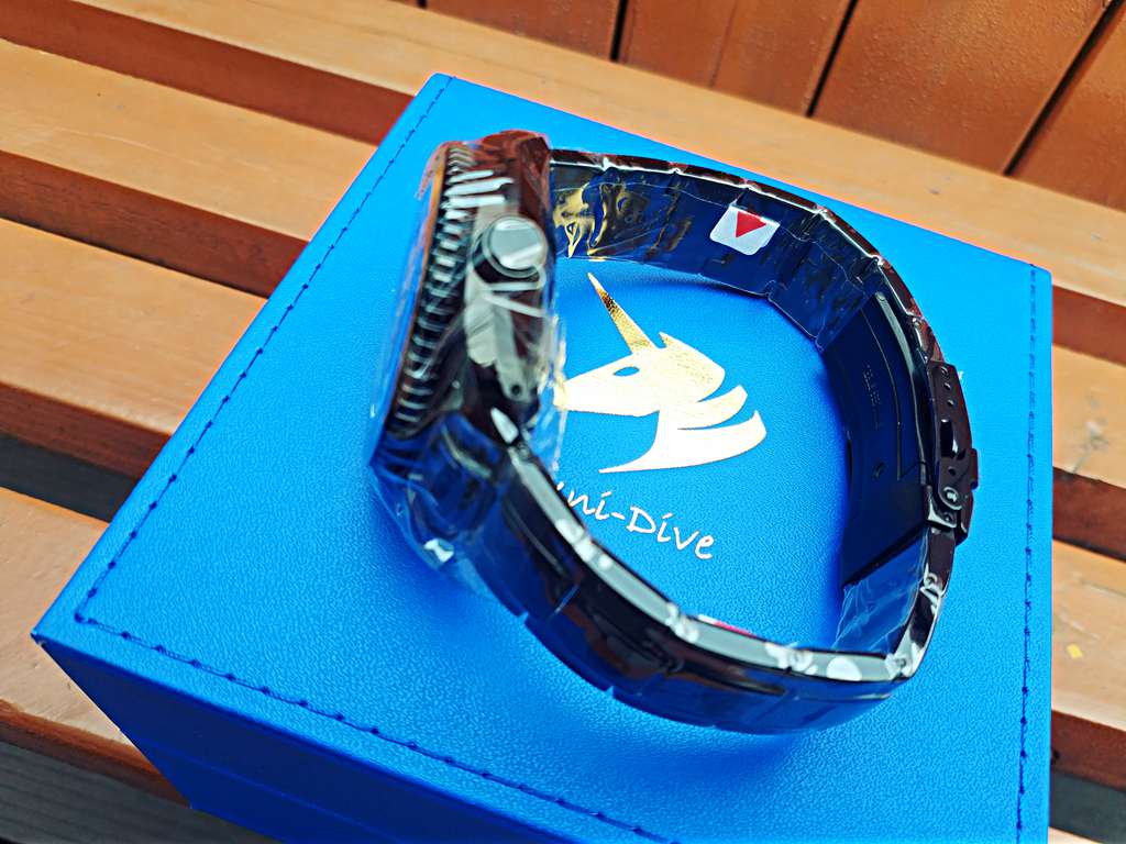 平价潜水表也别具一格：PROXIMA独角兽