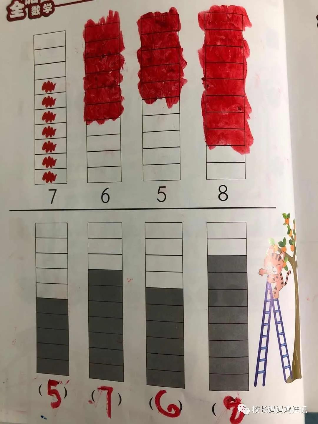 斯奎尔全脑数学讲解3到4岁,四岁学完所有课程
