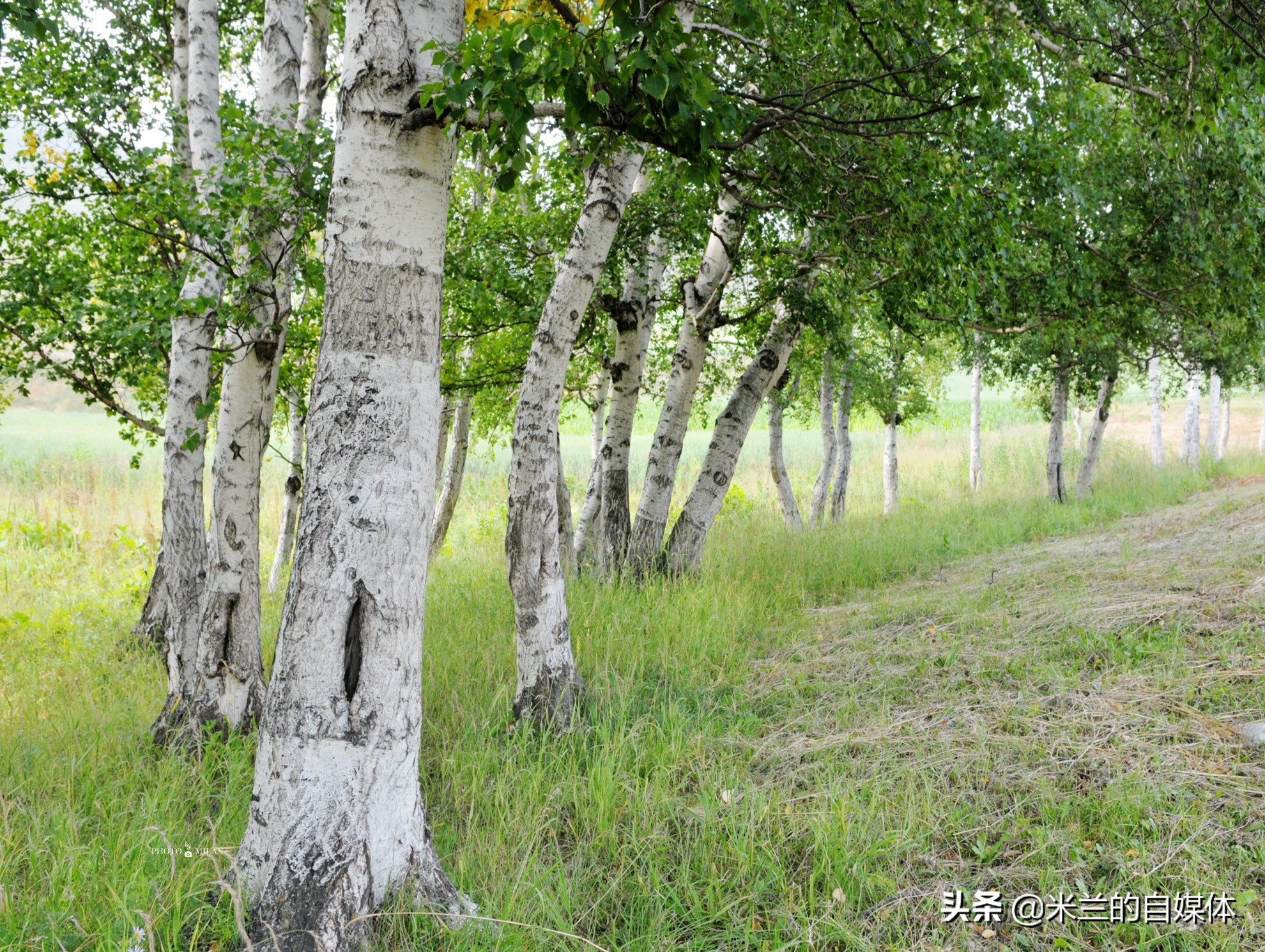 北京周边二日自驾游最佳路线图,北京周边自驾游两天一夜攻略草原