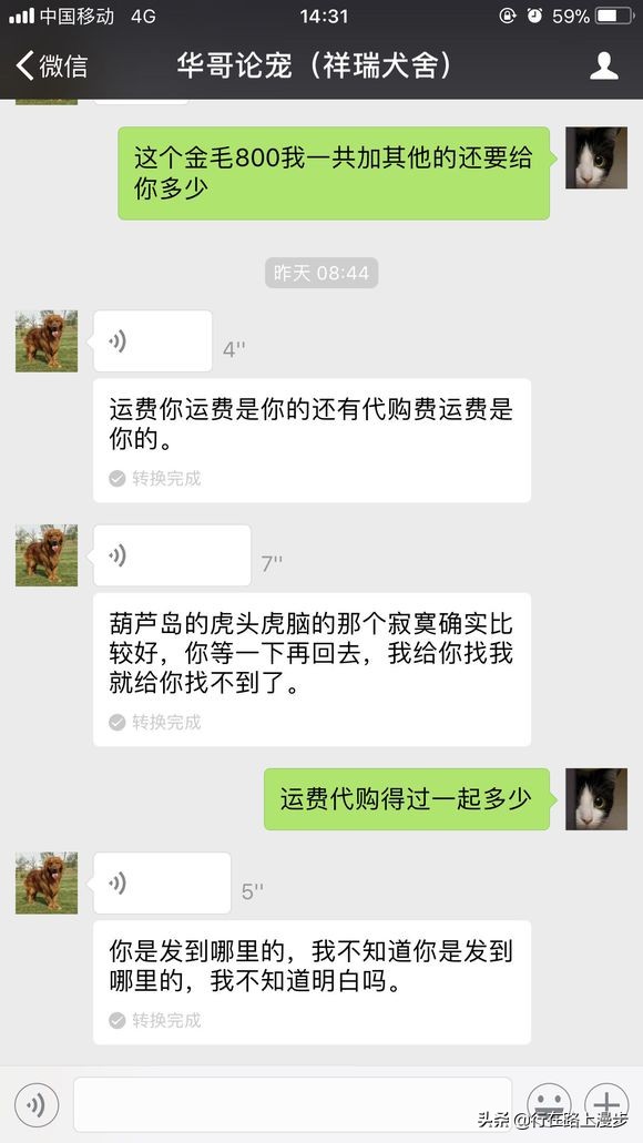 狗市直播代购靠谱吗,网上直播代购狗狗可靠吗