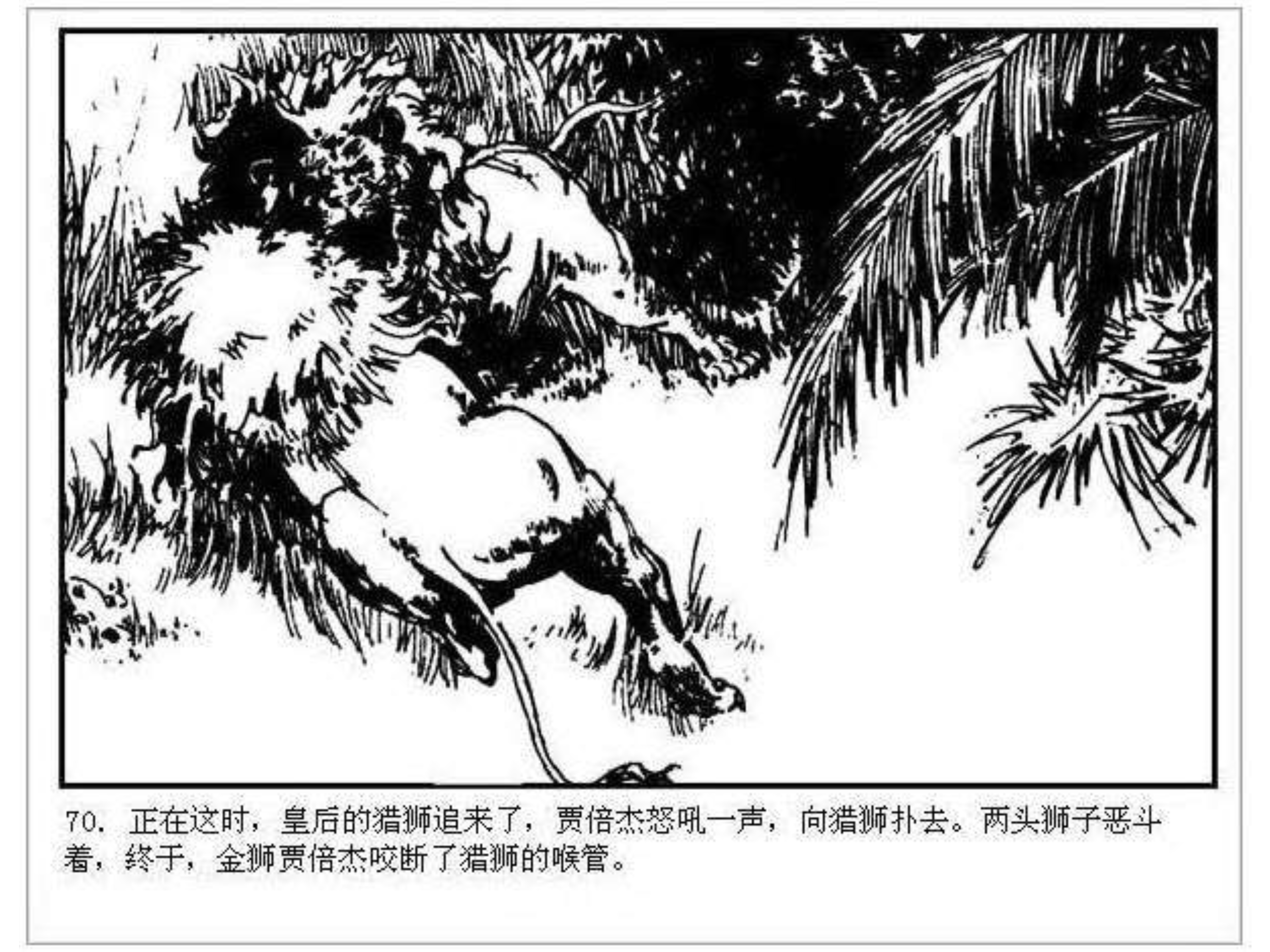 人猿泰山卡通画,连环画泰山凯旋钱贵荪绘
