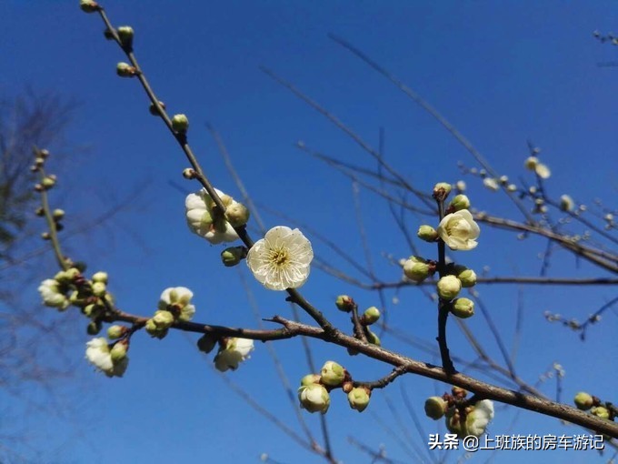 南通狼山一日游详细攻略图,夏天南通狼山一日游详细攻略