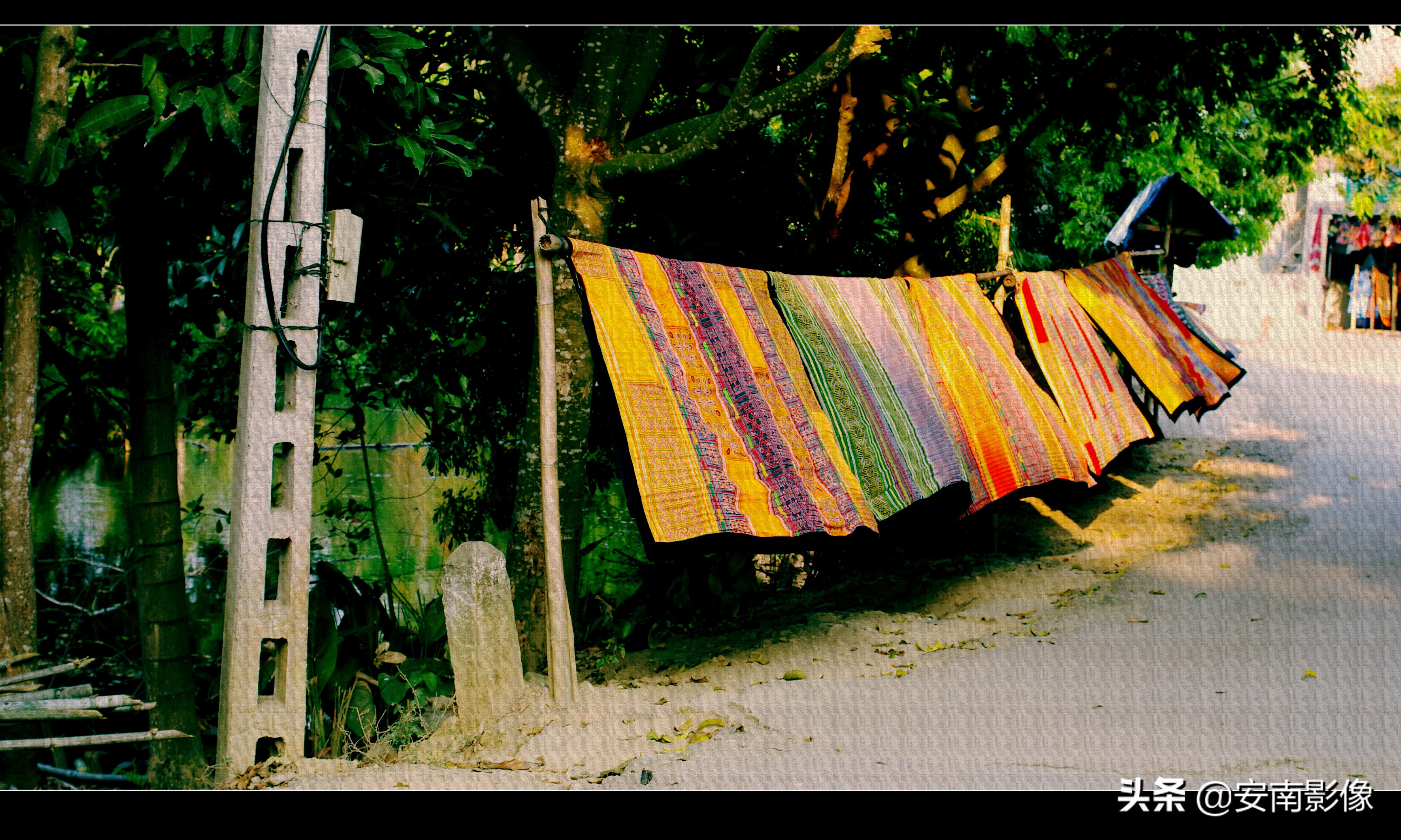 越南/西北/梅州Maichau/睦州Mocchau