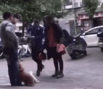 狗狗交配时强行将它们分开？脑子是个好东西，希望你能有！