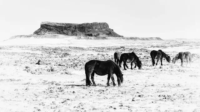 我那不堪回首的青春全文在线阅读,回顾一下我的高中生活