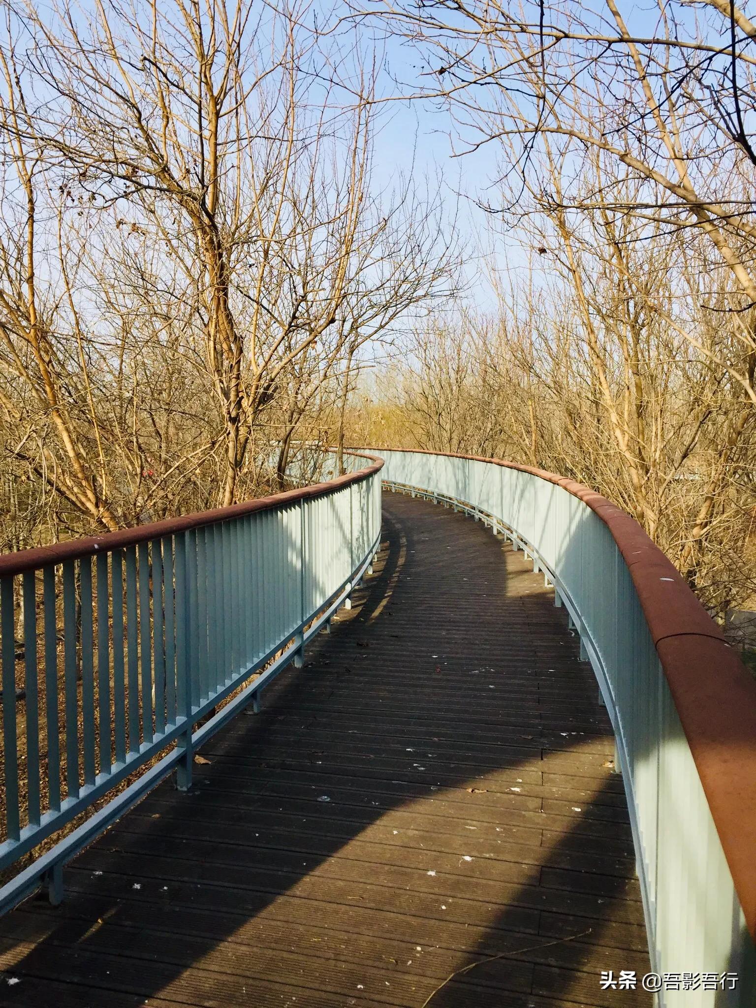 武清津北森林公园有哪些风景,天津武清森林公园开放时间表