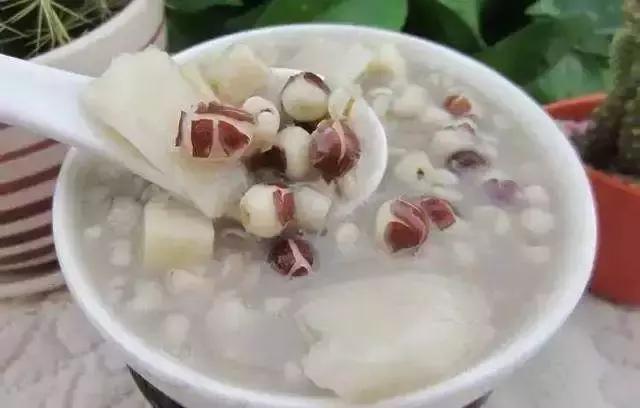 茯苓中药小故事,中药茯苓的故事