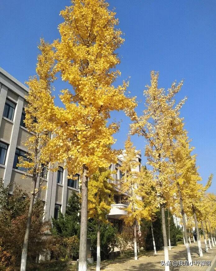 大连大学～大连市重点二本大学