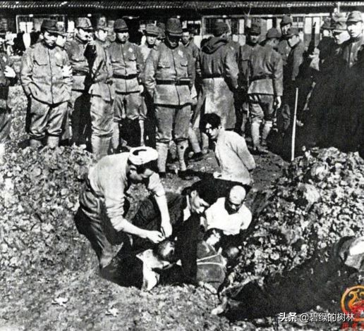 替日军暴行道歉,关于日本在华的暴行有何感想