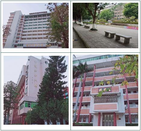 高职高考嘉应学院技能考试,梅州嘉应学院高职高考分数排名