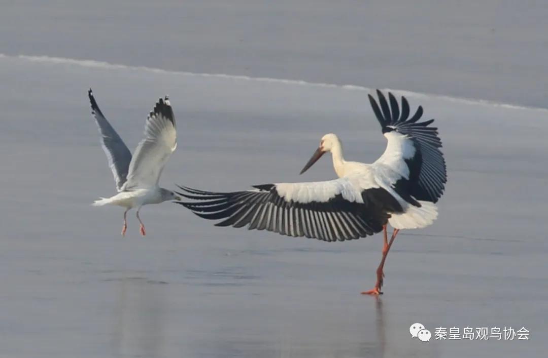 爱心让世界变得更美好作文,爱心让冬日暖意融融