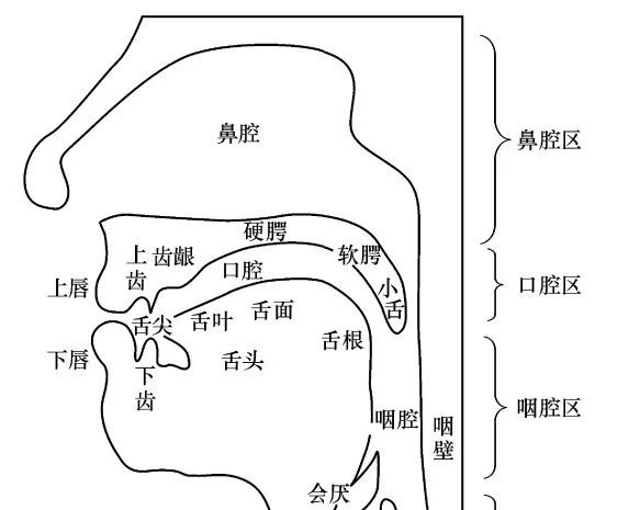 口腔门诊能不能看喉咙卡鱼刺,口腔科门诊可以拔鱼刺吗