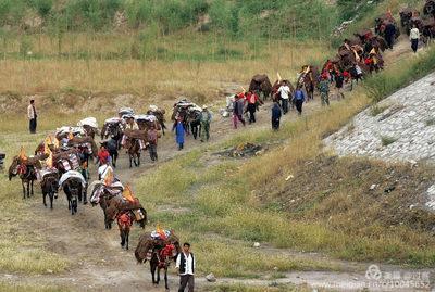 女皇欲长留秋延龙池沟
