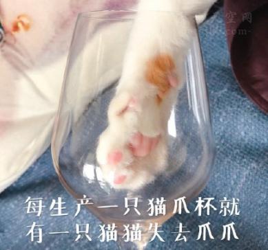 猫爪杯真的很贵吗,猫爪杯杯子价格
