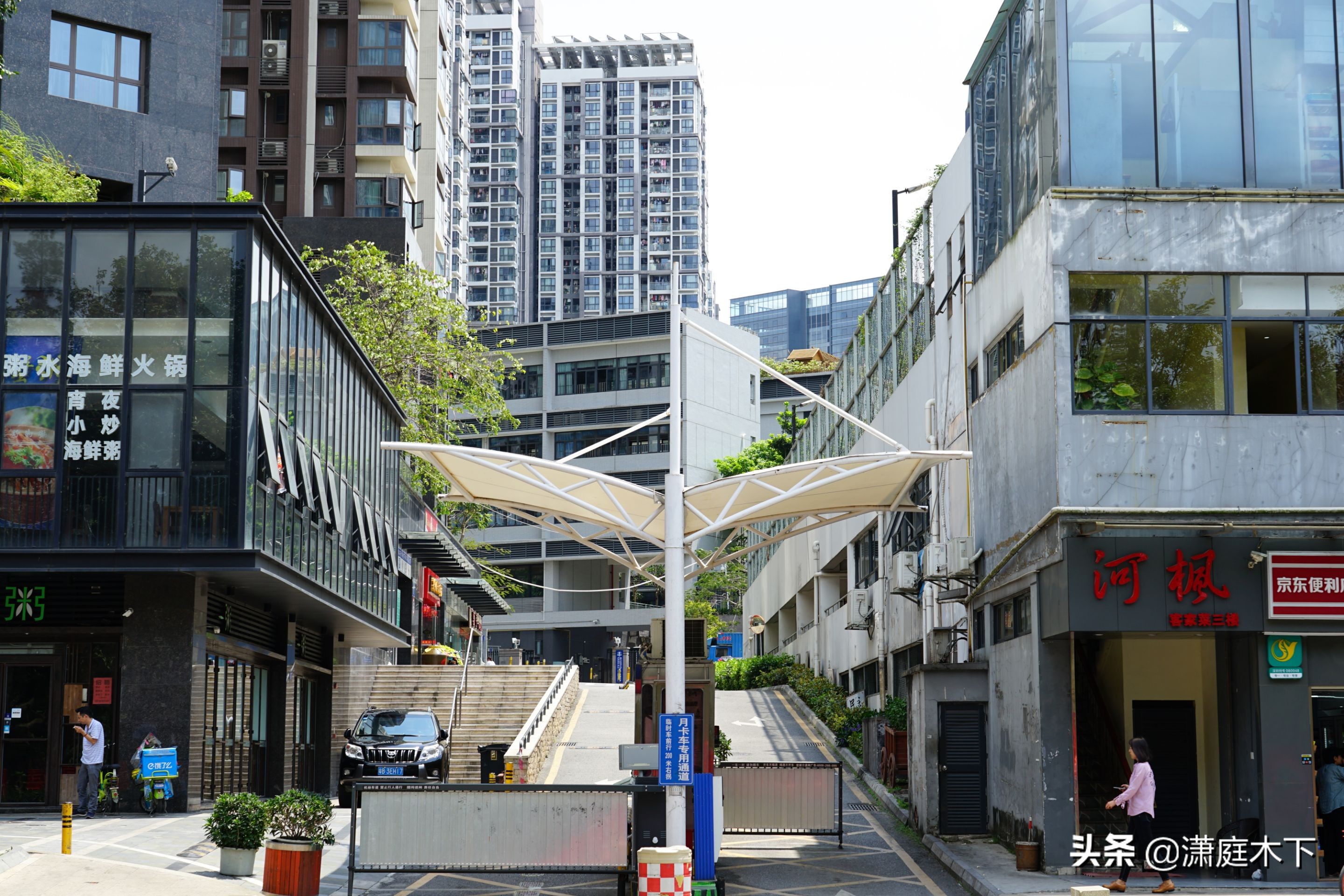 鹏城风光杂集，海与大学