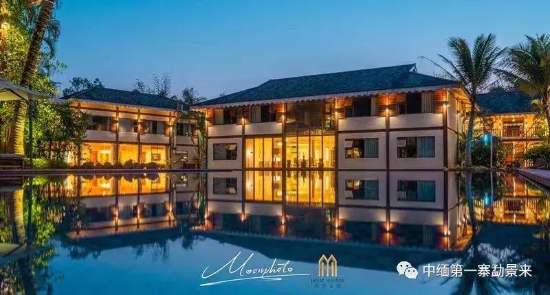 泰国顶级睡莲博士Dr.Nopchai版纳行，被勐景来圈粉