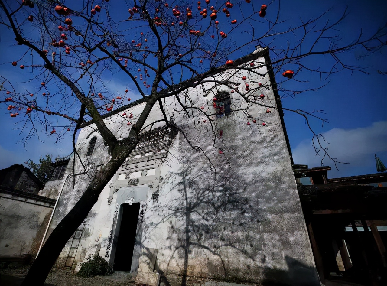 有个院子让生活过成诗,租个院子过田园生活